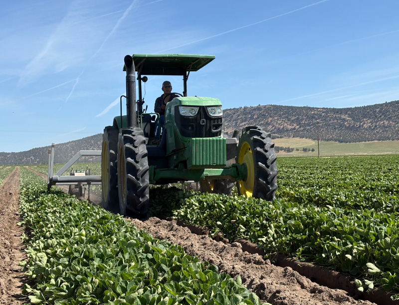 an image of a farming machine working on a field
